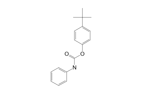 carbanilic acid, p-tert-butylphenyl ester