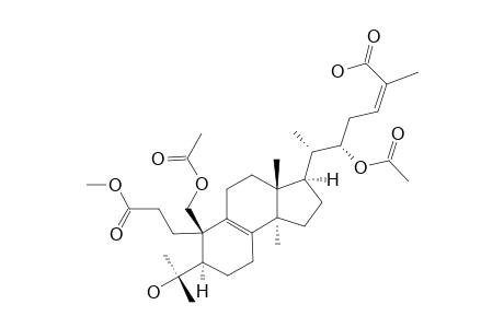 COLOSSOLACTONE_V;(22-R)-3,4-SECO-19,22-DIACETOXY-4-HYDROXYLANOSTA-8,24-(Z)-DIEN-3,26-DIOIC_ACID_3-METHYLESTER