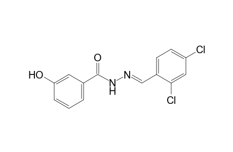 m-Hydroxybenzoic acid, (2,4-dichlorobenzylidene)hydrazide