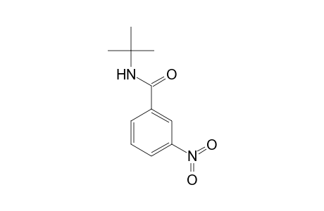 Benzamide, N-(1,1-dimethylethyl)-3-nitro-