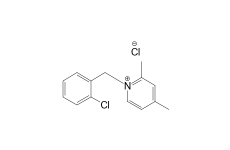 N-(2'-Chlorobenzyl)-2,4-dimethylpyridinium chloride