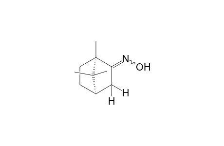 (1R)-Camphor oxime