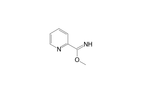 PICOLINIMIDIC ACID, METHYL ESTER