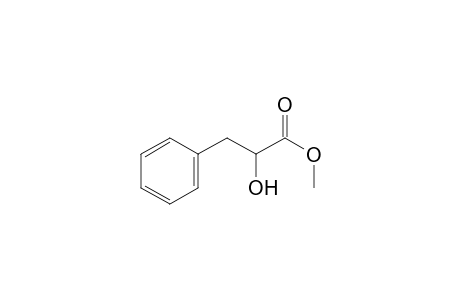 PAPULINE