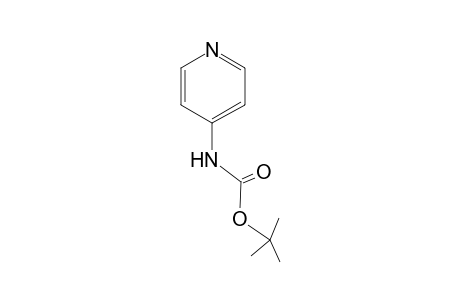 4-(tert-Butoxycarbonylamino)pyridine