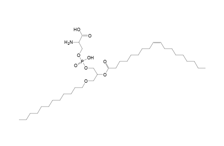 PS O-12:0_18:1