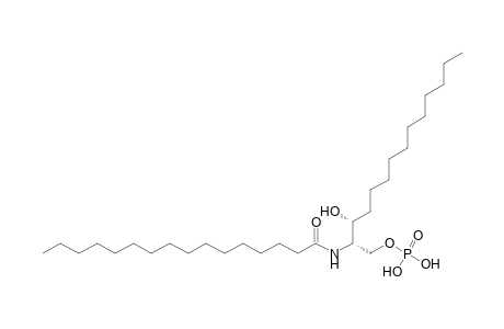 CerP 14:0;2O/16:0