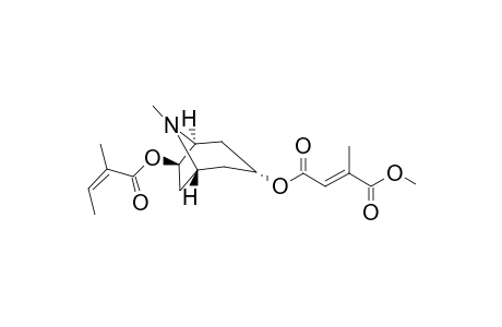 3.alpha.-(1-Methylitaconyl)-6.beta.-angeloyloxytropane