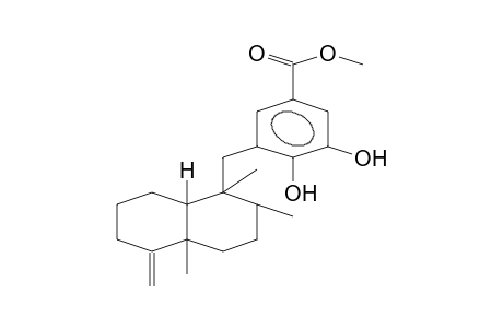 BENZOIC ACID, 3-[(DECAHYDRO-1,2,4A-TRIMETHYL-5-METHYLENE-1-NAPHTALENYL)METHYL]-4,5-DIHYDROXY- METHYL ESTER