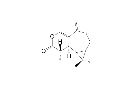 PLAGIOCHILINE-Q