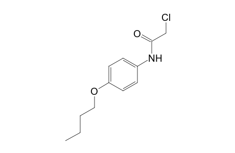 4'-butoxy-2-chloroacetanilide