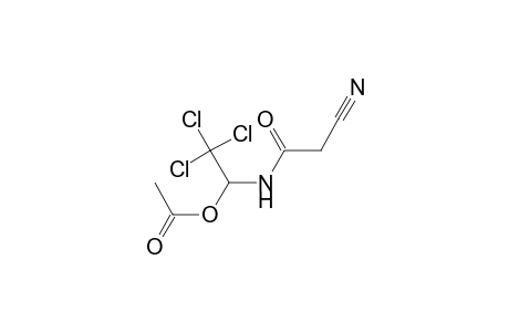 2-cyano-N-(1-hydroxy-2,2,2-trichloroethyl)acetamide, acetate (ester)