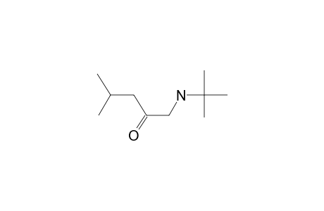 1-(Tert-butylamino)-4-methylpentan-2-one