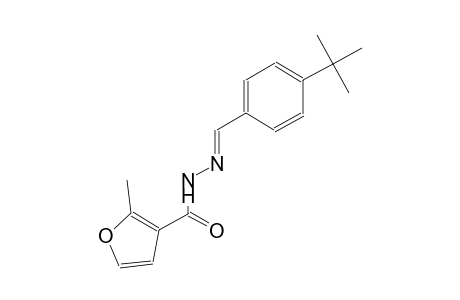 N'-[(E)-(4-tert-butylphenyl)methylidene]-2-methyl-3-furohydrazide