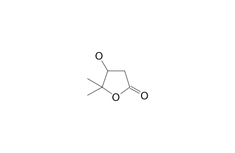 4-hydroxy-5,5-dimethyloxolan-2-one