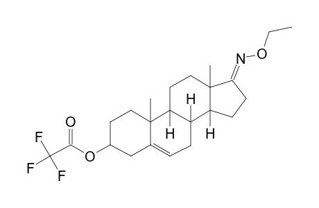 Trans-dehydroandrosterone, trifluoroacetate, o-ethyloxime