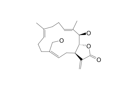 PRESINULAROLIDE_B