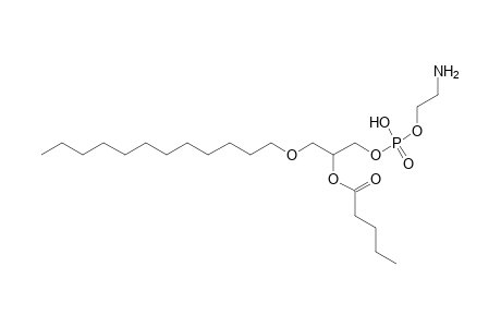 PE O-12:0_5:0