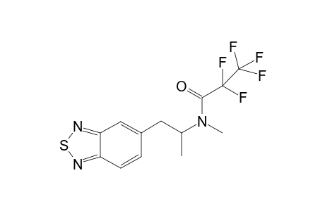 TDMA PFP