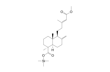 Labda-8(20),13-diene-15,19-dioic acid, methyl ester, tms