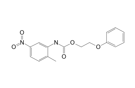 Benzoic acid, (2-methyl-5-nitrophenyl)carbamic acid, 2-phenoxyethyl ester