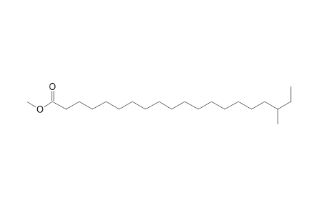 Methyl 18-methylicosanoate