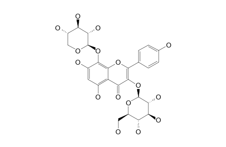 HERBACETIN-3-O-BETA-D-GLUCOPYRANOSYL-8-O-BETA-D-XYLOPYRANOSIDE