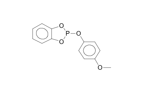 O-PARA-METHOXYPHENYLPYROCATECHINEPHOSPHITE