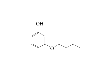 m-buoxyphenol