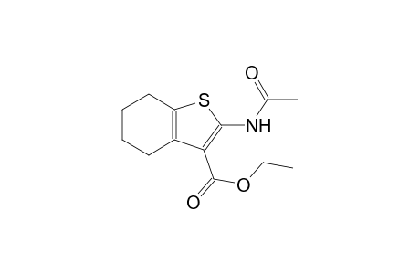 2-acetamido-4,5,6,7-tetrahydrobenzo[b]thiophene-3-carboxylic acid