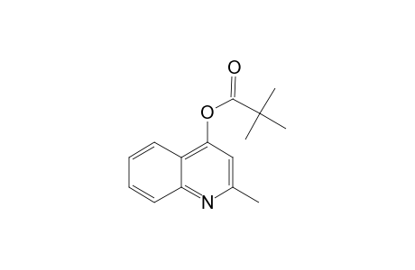 2-Methyl-4-hydroxyquinoline, trimethylacetate