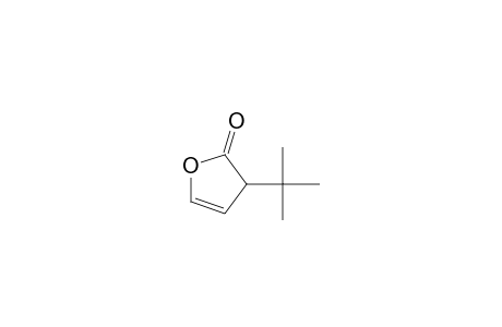 2(3H)-Furanone, 3-(1,1-dimethylethyl)-