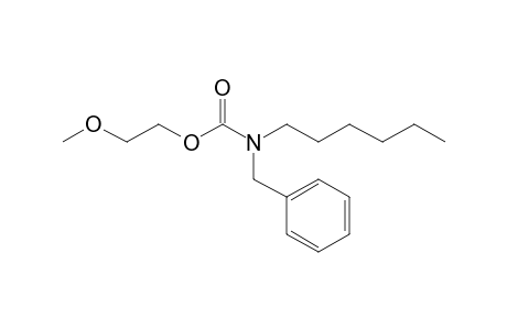 Carbonic acid, monoamide, N-benzyl-N-hexyl-, 2-methoxyethyl ester