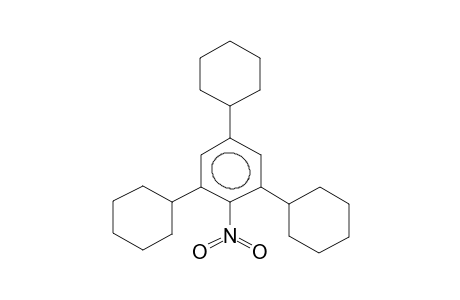 2,4,6-TRICYCLOHEXYLNITROBENZENE