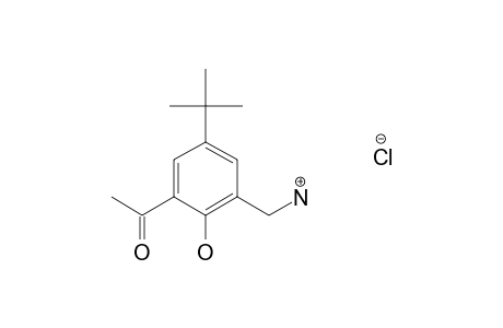 3'-(aminomethyl)-5'-tert-butyl-2'-hydroxyacetophenone, hydrochloride