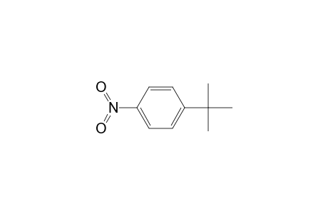 1-tert-Butyl-4-nitrobenzene