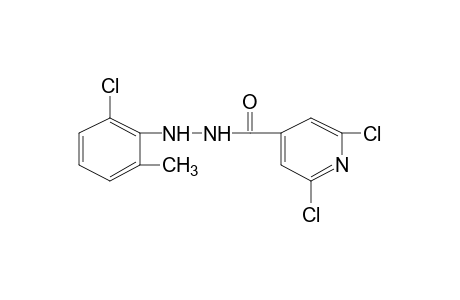 2,6-dichloroisonicotinic acid, 2-(6-chloro-o-tolyl)hydrazide