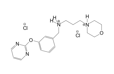 morpholinium, 4-[3-[[[3-(2-pyrimidinyloxy)phenyl]methyl]ammonio]propyl]-, dichloride