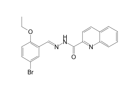 N-[(E)-(5-bromanyl-2-ethoxy-phenyl)methylideneamino]quinoline-2-carboxamide