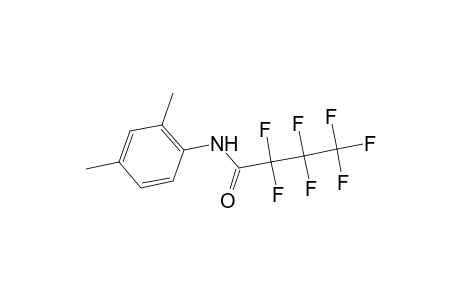N-(2,4-Dimethylphenyl)-2,2,3,3,4,4,4-heptafluorobutanamide