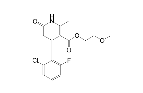 2-Methoxyethyl 4-(2-chloro-6-fluorophenyl)-2-methyl-6-oxo-1,4,5,6-tetrahydro-3-pyridinecarboxylate