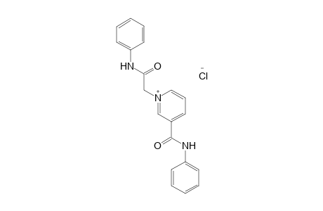 3-(phenylcarbamoyl)-1-[(phenylcarbamoyl)methyl]pyridinium chloride