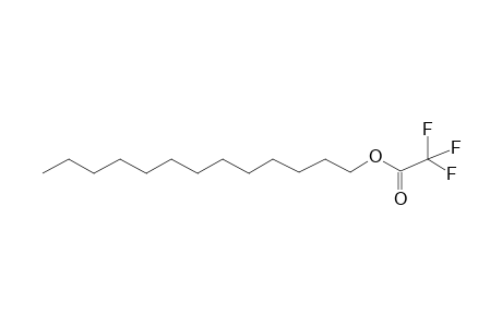 Trifluoroacetic acid,N-tridecyl ester