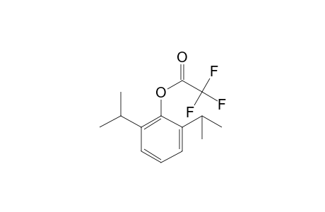 2,6-Diisopropylphenol, trifluoroacetate ester