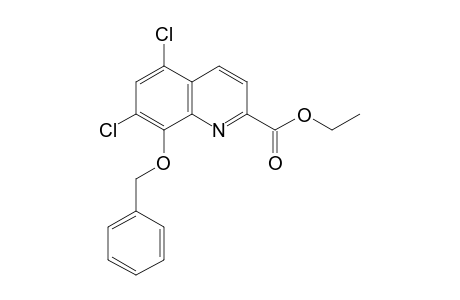 8-(benzyloxy)-5,7-dichloroquinaldic acid, ethyl ester