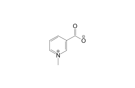 3-carboxy-1-methylpyridinium hydroxide, inner salt