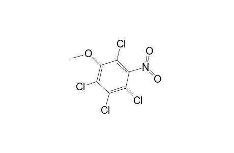 Tetrachloro-m-nitroanisole