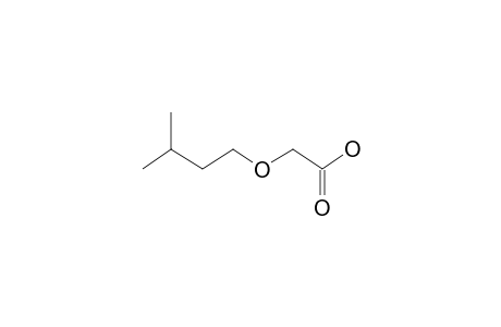 2-(3-Methylbutoxy)acetic acid