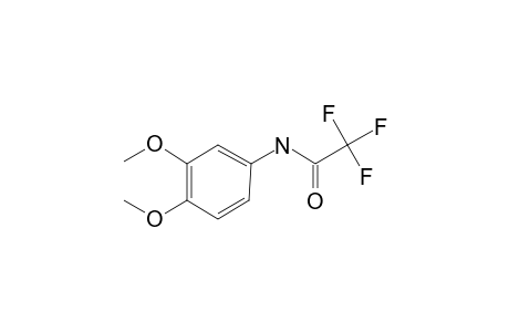 N-(3,4-Dimethoxyphenyl)-2,2,2-trifluoroacetamide