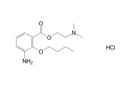 3-amino-2-butoxybenzoic acid, 2-(dimethylamino)ethyl ester, monohydrochloride